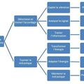 Semaine 5: diagramme FAST