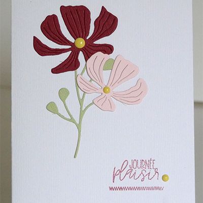 anniversaire de novembre