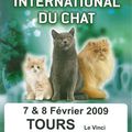 Salon du chat