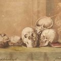 An anatomical study of five human skulls on a table with a book and a skeleton behind, English School, 1845