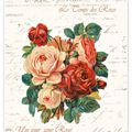 Carte Roses vintage