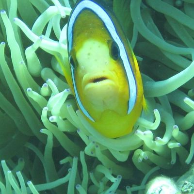 Photo fin du voyage Asie du Sud Est 