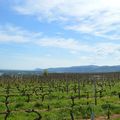 [Drôme] sur la colline de l'Hermitage