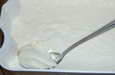 Skyr maison avec la multidélices