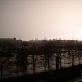 Jardin des Tuileries sous la pluie 