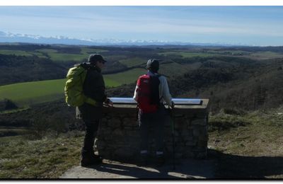 Bougeotte paradoxale