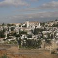 VISITE DE GRENADE ( GRANADA ) ( voyage en espagne 2009 ) 