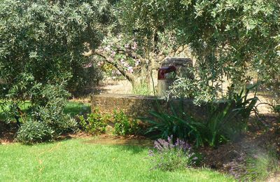 Fontaine aux Oliviers