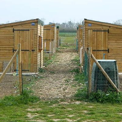 Nouvelles extensions!!!