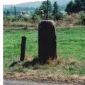 Menhir fr SAINT-JEURES (43 Haute-Loire) Carte 1/25000 2835 Est TENCE