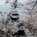 Sakura-8: sur le lac Biwa