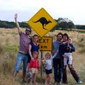 4 Pinsons and Co au Pays des Kangourous - Phillip Island