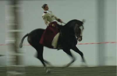 Equid' Espace 2010