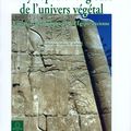 La gynécologie en Egypte ancienne - II