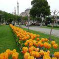Istambul suite et fin