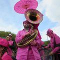 Voir la vie en rose au carnaval de Nantes le 6 avril 2014 (2)