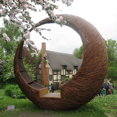 Thème : Voyage en Angleterre