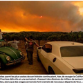 Incendies en Californie