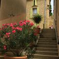 Chateauneuf du Pape (Vaucluse) - Rue du Vieux