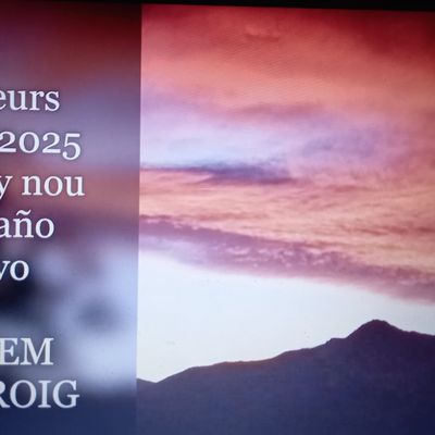 Voeux Feliç any nou Feliz año nuevo 2025 SALVEM QUERROIG