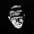 FRANKENSTEIN - UNIVERSAL MONSTERS, 1931 [8] ***