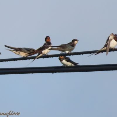 C'était  fin Septembre,