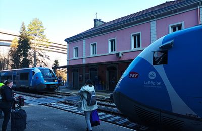 Contrat de plan Etat-Région Auvergne-Rhône-Alpes : l'Etat mettrait 54 M€ sous condition sur cinq ans pour les petites lignes