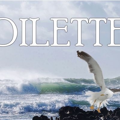 plaque de porte toilettes décor cote bretonne