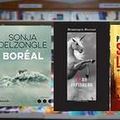 QUELQUES CLICHES DE LA SOIREE TABLE RONDE A LA LIBRAIRIE PASSERELLES HIER SOIR... UNE REUSSITE !