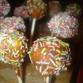 Mes premiers cakes pops