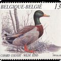 Le canard