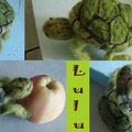 Lulu la tortue