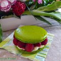 Macaron framboise basilic 