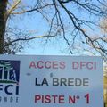 Protection de la forêt
