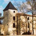 Restauration des ruines du château de Nieul-le-Virouil (17)