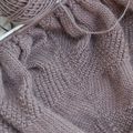 Barjolaine's Textured Shawl # 2, question ?