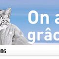 Cinq jours après avoir reçu les 200.000