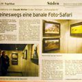 Les articles de l'expo