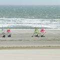 Berck plage