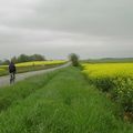 Piste cyclable en Meuse