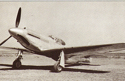 North American P-51 Mustang. Elégant et redoutable.