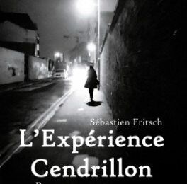 l'expérience Cendrillon Sébastien Fritsch