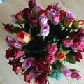 Le bouquet de la semaine #33