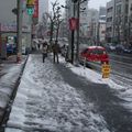Tokyo sous la neige!