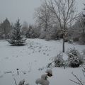 Mon jardin sous la neige