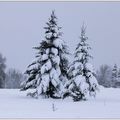 La magie de la neige