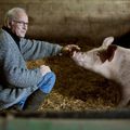 Chez Henri, Breton heureux au milieu de ses 120 cochons bio !