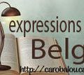 expressions belges
