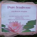 Coffret "Pure Tendresse"