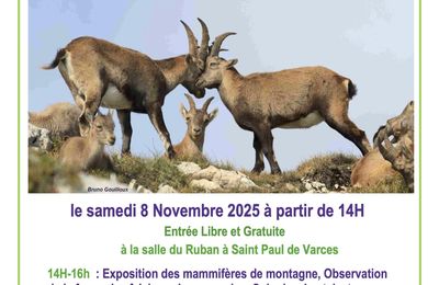 Invitation à l'Après-Midi Nature 2025 "Les Mammifères de Montagne"